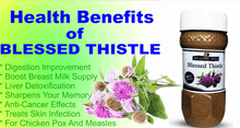 Load image into Gallery viewer, Blessed Thistle Herb Powder Organic

