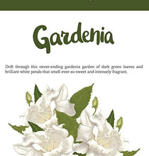 Load image into Gallery viewer, Scented Soy Candles-Gardenia 8oz
