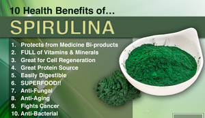 Spirulina