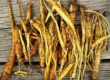 Yellow Dock Root Powder